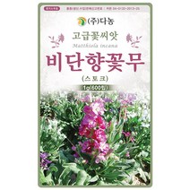 왜성 천일홍 분홍색 100립 - 야생화 씨앗 꽃씨 씨 꽃씨앗 야생화씨앗 고급꽃씨 고급꽃씨앗 천일홍씨앗 천일홍씨 천일초, 07_다농_비단향꽃무(스토크)(1g)