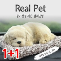 1+1숯품은 강아지 제습 탈취인형 차량용 공기정화, 골든리트리버(리얼)_앙고라(미니)