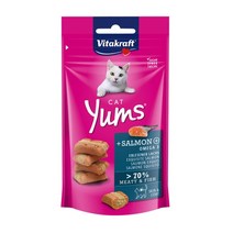 비타크래프트 캣얌 40g 4종 중 1선택 고양이 간식, 1개, 연어