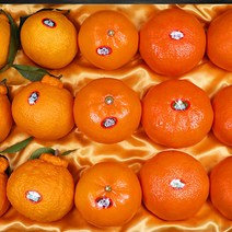 고급 레드향선물세트 천혜향 레드향 한라봉선물세트, 고급 천혜향 선물 특과 3kg