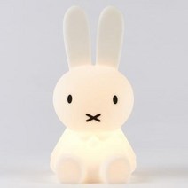 토끼 수면 무드등 네덜란드 Mr Maria 미피아 실리콘 스탠드 사자곰 미니 장식, 02 사자