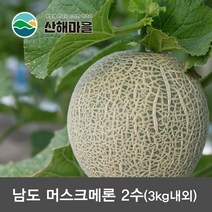 머스크메론 2수 (3kg 내외) 산지직송 고당도 남도 머스크멜론
