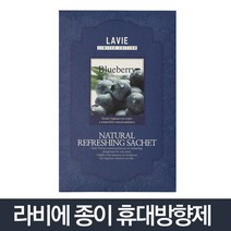 라비에 종이방향제 라벤다/차량용방향제 페이퍼샤쉐, 블루베리, 본상품선택