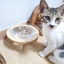[머든제작소] 국내제작 원목 고양이 수반 강아지 물그릇 다이소수반 반려동물식기