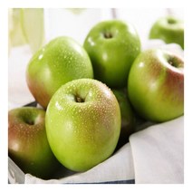 [착한식탁] 가정용 썸머킹 아오리 사과 10kg 중대과, 1개