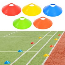 칼라접시콘, 레드