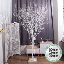 실내인테리어 인조나무 123종 / 플트 조화나무 C, C18.라인-화이트소원나무 190cmK/사방형