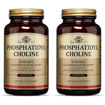 솔가 Solgar Phosphatidylcholine 포스파티딜콜린 100소프트젤 2팩, 1개, 1