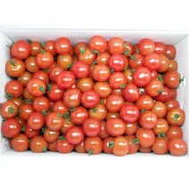 잘잘한 방울 토마토 5Kg, 1개