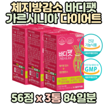 가르시니아 캄보지아 추출물 다이어트 복부 피하 내장 지방 체지방 감소 비타민B군 보이차 20대 30대 40대 뱃살 허벅지살 여성 여자 여자친구 아내 와이프 몸매 관리 항산화