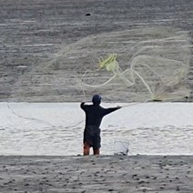 바다투망 반 수제투망 초경량 3kg 동신 2세대 경심투망 숭어 전어 유아납, 전어투망(약 1.5cm)