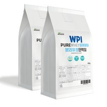 분리 유청 단백질분말 500g 2팩 헬스보충제 대용량 총1kg WPI 락토프리 해썹인증