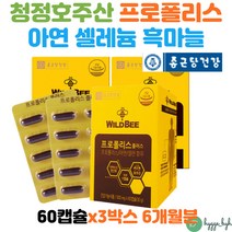 면역력 항균 항산화에 좋은 영양제 프로폴리스 아연 셀렌 PROPOLIS 건강기능식품 플로폴리스 개별포장 PTP 환절기 황사철 미세먼지 몸속 구강 청소년 중년 50대 60대 온가족