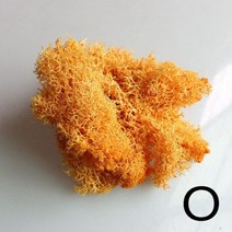 인조이끼 인조조경 조화조경 장식 이끼 잔디 매트 화분장식 천연 노르웨이 순록 보존 건조 공예 꽃 수술 웨딩 요정 정원, [15] O