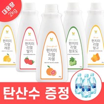 레몬에이드베이스 추천 상품 (판매순위 가격비교 리뷰)