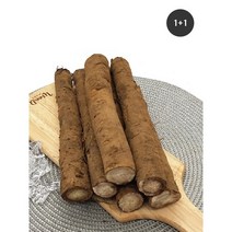 초록한입 국내산 유기농 우엉 500g 1+1 총1kg, 1kg
