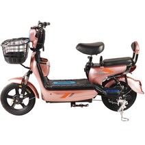 가성비전기자전거 제조업체 공급 황금 원숭이 이륜 성인 전기 자전거 이중 배터리 자동차 48v 레저, [03] 리테일 베어카 1대배터리 충전기 없음 560, [03]