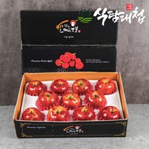 명절 선물세트 경북 명품사과 3kgX2박스(중과19-23과), 단품