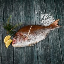 반건조 손질되어 편한 참돔 제사 국내산 여수 참돔 돔 도미 말린생선 손질 제수용생선, 33cm, 1마리