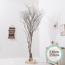 실내인테리어 인조나무 123종 / 플트 조화나무 C, C04.내츄럴라인소원나무 230cmK/코너형