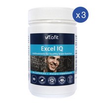 비타핏 엑셀 아이큐 징코빌로바 진생 타우린 포스파티딜세린 90정 VITAFIT EXCEL IQ, 3개