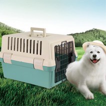민트 안전 이동가방 플라스틱 애견켄넬 케넬 초소형견 실내공간 토이푸들 하드캐리어