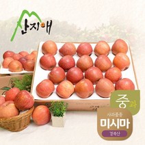 2022햇사과 알뜰 못난이사과(중과) 4.5kg 2box / 당도선별 미시마, 2개