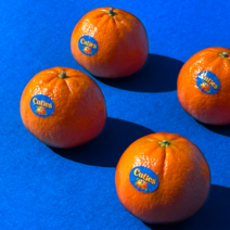 미국산 만다린 오렌지 미국 귤 감귤 캘리포니아 큐티스만다린, 4kg