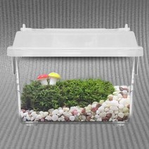 테라리움 이끼 식물 테라리움만들기 비바리움 diy 재료