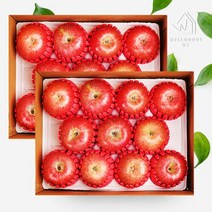 [웰굿]경북 정성담은 명품 사과선물세트 총5kg(2.5kg(9과내)x2), 단품