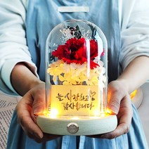 [더라임코리아] 어버이날 카네이션 LED 유리돔 무드등 부모님 선물, 레드