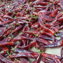 23년산 국산 햇 건고추 600g 한근 국내산, 햇건고추, 일반 건고추 600g, 1개