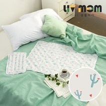 [리브맘]쿨매트 중형2종세트, 002.선인장