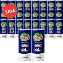 코카콜라 캐나다드라이 클럽소다 250ml X 30개 하이볼, 상세페이지 참조