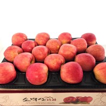산지직송 당도보장 소백산 고랭지 영주 사과 홍로 정품(9월 24일 오전9시 주문건까지 추석전에 받을 수 있습니다.), 1박스, 소백산 홍로 중과 5kg