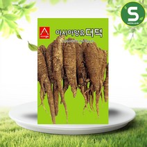 솔림텃밭몰 더덕씨앗 3g 아시아양유더덕 민속채소 건강채소