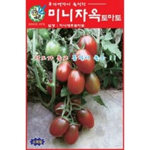 AR 미니자옥 토마토(대추 토마토) 씨앗 70립