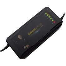 220V 전기 자전거 스쿠터 삼륜차 배터리 호환 충전기, 48V32AH