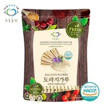 [푸른들판] 국내산 도라지 분말 가루 100% 500g 백도라지 파우더 길경 차, 상세 설명 참조