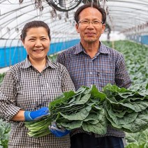 담양 친환경마을 유기농 케일 4kg 3kg 2kg, 1BOX, 유기농 케일 4kg (즙용)