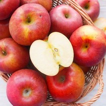 못난이 청송 꿀맛 사과 흠집 흠과 부사 청송사과 5키로