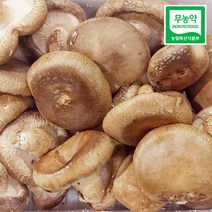 농사꾼아내 무농약 생표고 버섯 500g/1kg 못난이 파지 가정용, 표고버섯 가정용 1kg