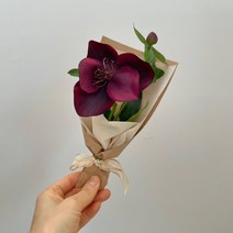 [플로비에] 헬레보루스 조화 미니꽃다발 생화같은조화 고급스러운 조화