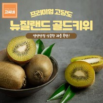 고씨네 특급 골드키위2kg 키위 레드키위 참다래 다래, 쿠팡 1, 쿠팡 본상품선택