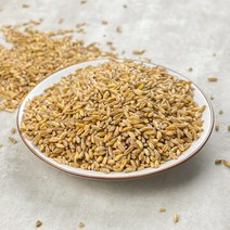 호라산밀 국내산 이집트쌀 500g, 국내산 호라산밀 - 500g, 1개