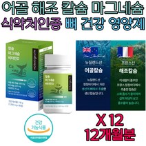 여자 남자 어골 해조 칼슘 마그네슘 비타민D 뼈에좋은 섭취 보조제 영양제 식약처인증 건강기능식품 직장인 회사원 주부 아내 와이프 남편 아버지 어머니 50대 60대 중년 노년 시니어