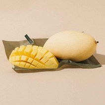 프리미엄 필리핀 카라바오 골드 생 망고 2kg 5kg, 5kg(16~24과)