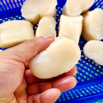 남해안 자연산 키조개 관자 통관자 200g 슬라이스 산지직송 조개구이 찜 버터구이 캠핑음식, 남해안 키조개 통관자200g3-5미내외, 1개