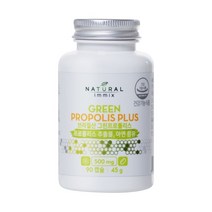 브라질 그린 프로폴리스 플러스 500mg x 90캡슐 비염 항산화 영양제 플로폴리스