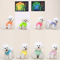 모모스페이스 강아지옷 폭염 쿨티셔츠 크롭 쿨 티 자외선차단 나시 여름 애견 모음 S 2XL, 일반티, 네온그린